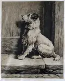 The Prodigal Signed in by Herbert Dicksee, Etching, published by Frost & Reed, sold Jun 2016
