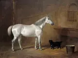 A grey in a stable with a dog Signed and dated 1834 Oil on canvas 58 x 76cm; 23 x 30in ++Relined, a repair upper centre, good restored condition by Joseph Maiden, 1834, Oil on canvas, sold Mar 2016