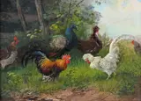 Cockerels and peacocks; Turkey and ducks A pair, one signed Both oil on panel Each 12 x 16cm; 4¾ x 6¼in (2) ++Both good condition by Frank Paton, oil on panel, offered Mar 2016