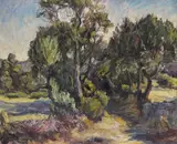 Olive Grove by Peter Morris, Oil on canvas, sold Mar 2016
