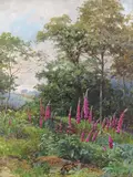Foxgloves by a wood Signed Oil on canvas 46 x 35cm; 18 x 14in ++Unlined, good condition by John Bates Noel, Oil on canvas, sold Mar 2016