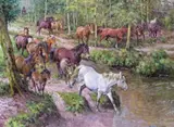 Rounding up the New Forest ponies Signed Oil on canvas 61 x 81cm; 24 x 32in ++Unlined, good condition by Rosemary Sarah Welch, Oil on canvas, sold Mar 2016