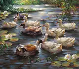 A family of ducks Signed Oil on canvas 70 x 80cm; 27½ x 31½in ++Good condition by Gerhard Merfort, Oil on canvas, sold Mar 2016
