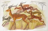 Impala in a landscape Signed and dated 20/2/60 Oil on board 91 x 137cm; 36 x 54in ++A few blemishes, but otherwise in good condition by G. H. Scales, Oil on board, offered Mar 2016