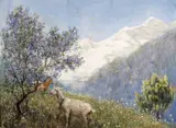 Goats on a mountain pasture Watercolour, unframed 28 x 35.5cm; 11 x 14in ++Good condition by John Robert Keitley Duff, Watercolour, unframed, sold Mar 2016