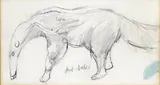 Untitled by John Minton, Pencil, sold Mar 2016