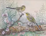 Untitled by Winifred Marie L. Austen, Watercolour, sold Mar 2016