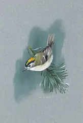 Untitled by Bryan Reed, Gouache on grey paper, sold Mar 2016