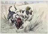 Bassett hounds Signed and numbered 73/75 Drypoint etching in colour 25 x 36cm; 9¾ x 14¼in by Henry Wilkinson, Drypoint etching in colour, sold Mar 2016