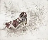 Border terriers by George Vernon Stokes, print (other), sold Mar 2016