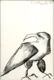 Bird by Pat Douthwaite, charcoal on paper, sold Oct 2013