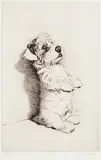 For What I am About to Receive by Cecil Charles Windsor Aldin, drypoint etching, offered May 2013