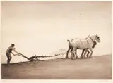 Ploughing by Cecil Charles Windsor Aldin, drypoint etching, offered May 2013