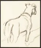 Cracker by Cecil Charles Windsor Aldin, charcoal on paper, sold May 2013