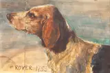 Rover 1753 "Give a dog a bad name, and hang him" by English School, bodycolour, sold May 2013