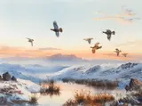 Grouse in a winter's sky by John Cyril Harrison, watercolour, sold May 2013