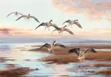 Pink-footed Geese returning to the estuary by John Cyril Harrison, watercolour, sold May 2013