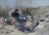 Polish Hen by William Huggins, watercolour, offered May 2013