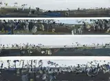 Murray River Landscape by Fred Williams, c.1972, gouache on paper, sold Apr 2011
