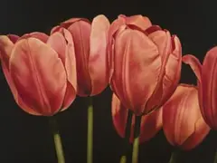 A New Life by Jason Benjamin, 2004, oil on linen, sold Apr 2011