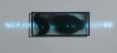 Ngajuu Ngaay Nginduugirr (I See You) by Brook Andrew, 1998, animated neon and duraclear mounted on acrylic, sold May 2011