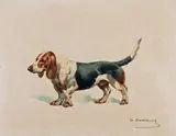 Basset tricolore by Charles-Fernand de Condamy, Aquarelle, sold Dec 2014