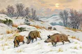 Compagnie des sangliers dans la neige by Georges Rötig, Aquarelle signée en bas à droite, sold Jun 2014