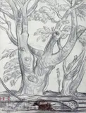 Buffles au repos by André Maire, 1953, Pierre noire et sanguine, sold Jun 2013