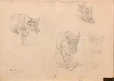 Étude de vaches by Rosa Bonheur, Crayon noir, sold Jun 2021