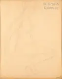 Nu féminin assis by Théophile Steinlen, Crayon sur papier, sold Jun 2021