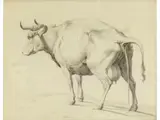 Brunzende kuh by Adriaen van de Velde, drawing, offered Jun 2023