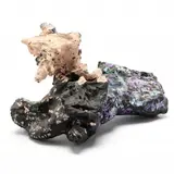 Folk Art Root Figure by Bessie Harvey, Painted wood, sold Dec 2023