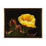 Arizona Spring by Lee Alban, Oil on linen, sold Nov 2023