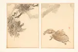 Turtles by Watanabe Shōtei, circa 1890, Woodblock Print in Colors, sold Apr 2025