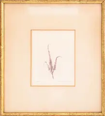 Botanical Study by Aubrey Schwartz, 1966, Lithograph in Colors, sold Apr 2025