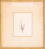 Botanical Study by Aubrey Schwartz, 1966, Lithograph in Colors, sold Apr 2025