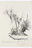The background could be Rio by Stéphane Calais, 2003-2004, Encre sur papier, sold Apr 2025