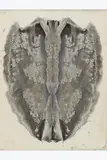 Sans titre by Eugène Gabritschevsky, Gouache sur papier, sold Sep 2025