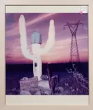 Untitled (Cactus) by Tom Sicurella, chromogenic print, sold Dec 2023