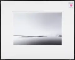 Marshland 2 by Richard Burton, 1981, gelatin silver print, sold Dec 2023