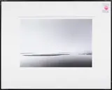 Marshland 2 by Richard Burton, 1981, gelatin silver print, sold Dec 2023