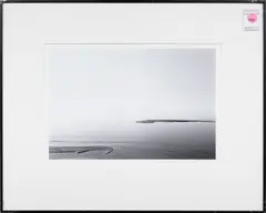 Marshland 1 by Richard Burton, 1981, gelatin silver print, sold Dec 2023