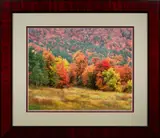 Meadow in the Rain," 1988/2002 by Robert Glenn Ketchum, chromogenic print, sold Dec 2023