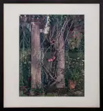 Perola by Stephen A. Scheer, 1989, Chromogenic Print in Colors, sold Apr 2025