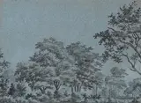 Studie zu einer Waldlandschaft by Frankreich, 19.Jh., pen and ink, sold Dec 2015