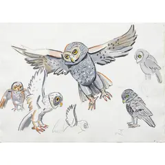 Owl Studies by Viola Frey, watercolor and ink, sold Jan 2024