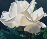 White Rose by James McGulpin, 2000, oil on canvas, sold Jan 2024