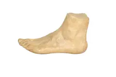 Foot study by Pure White Lines, sculpture, offered Jun 2022