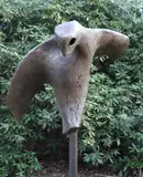Bird III by Eli Ilan, Bronze, offered Jul 2019