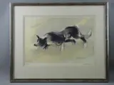 Print - stalking sheepdog by William Selwyn coloured limited edition, print, sold Jul 2017
